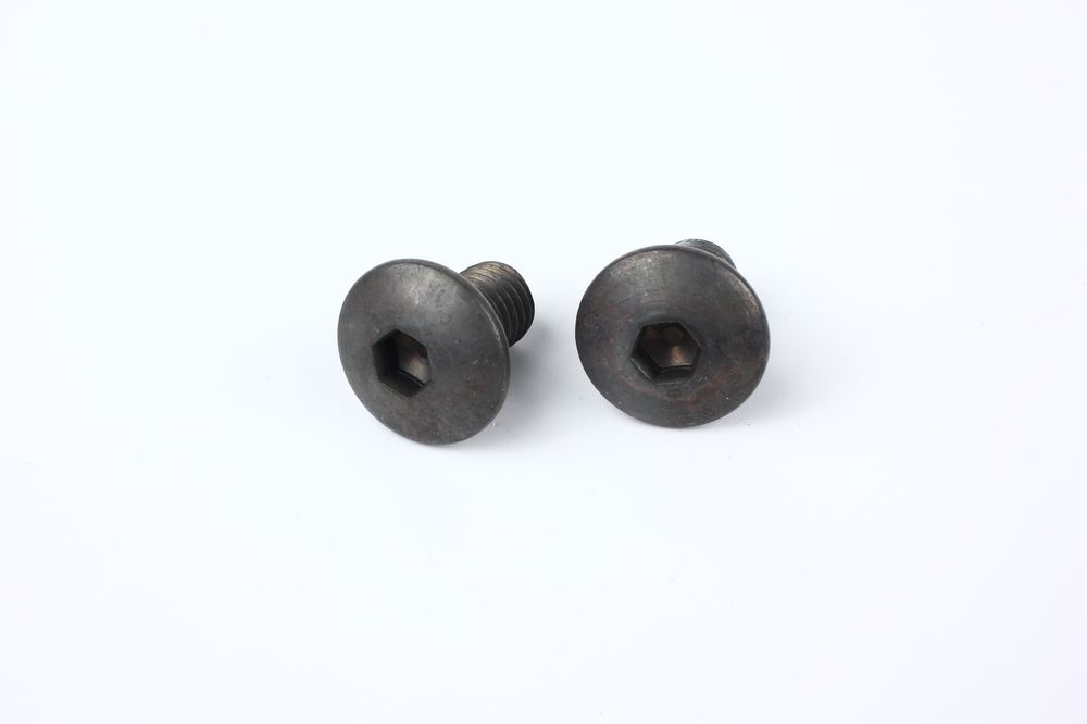 Large flat head screw detail